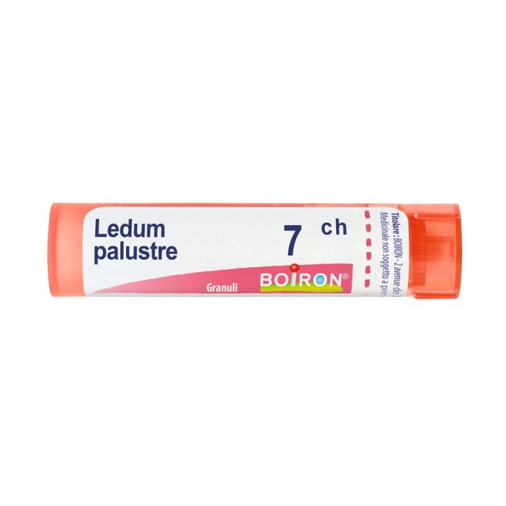 LEDUM PALUSTRE (BOIRON)*80 granuli 7 CH contenitore multidose 4G